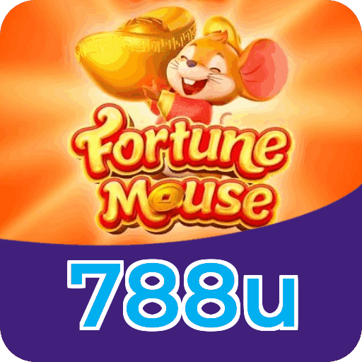 Termos e condições